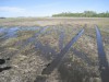 Затопленные поля в Саскачеване