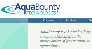 Aqua Bounty производитель генетически модифицированного лосося